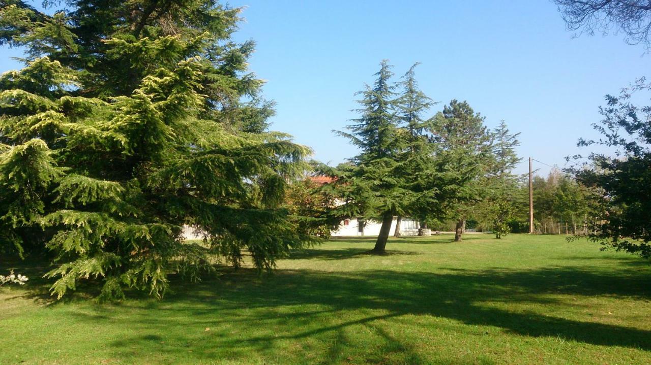 Bed and Breakfast Le Pontet Miramont-de-Guyenne Zewnętrze zdjęcie